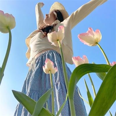 全知读者视角